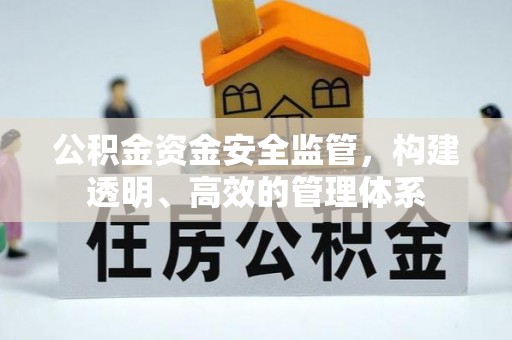 台中公积金资金安全监管，构建透明、高效的管理体系