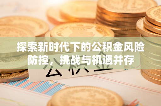 台中探索新时代下的公积金风险防控，挑战与机遇并存