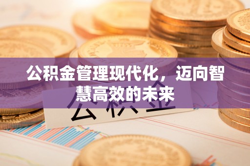 台中公积金管理现代化，迈向智慧高效的未来