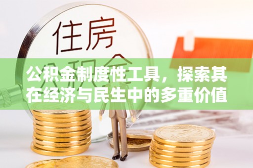台中公积金制度性工具，探索其在经济与民生中的多重价值