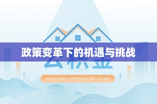 台中政策变革下的机遇与挑战