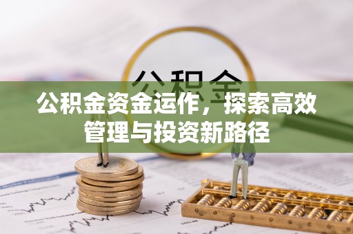 台中公积金资金运作，探索高效管理与投资新路径