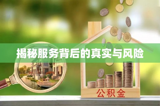 台中揭秘服务背后的真实与风险