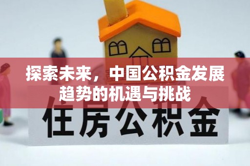 台中探索未来，中国公积金发展趋势的机遇与挑战