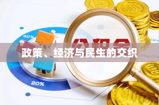 台中政策、经济与民生的交织